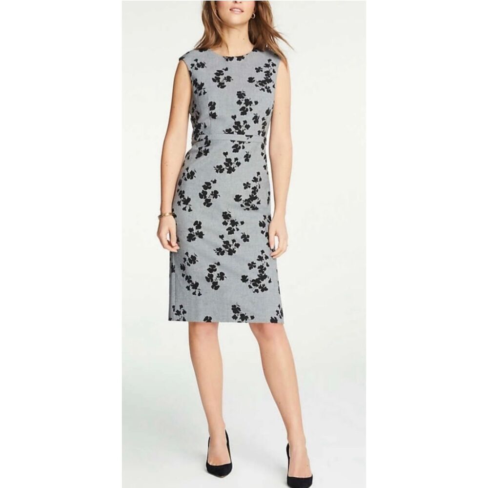 Ann Taylor Floral Cap Sleeve Sheath Dress Size 8 Grey Multi Women's